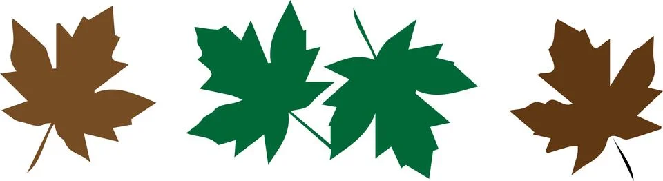 Maple leaf icon on white background Stock Illustration