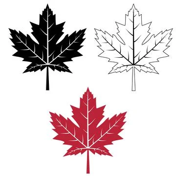 Maple leaf icon on white background. red maple leaf sign. イラスト素材