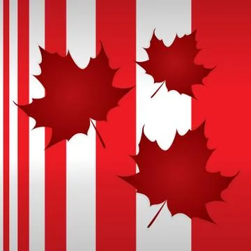 Maple leaf Stock Illustration