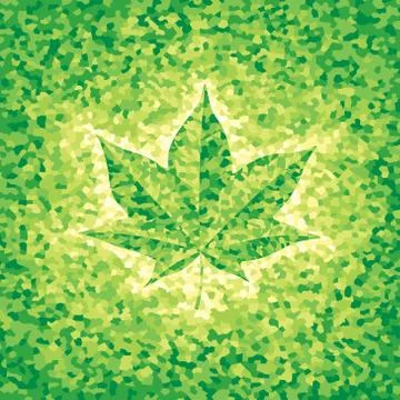 Maple leaf イラスト素材