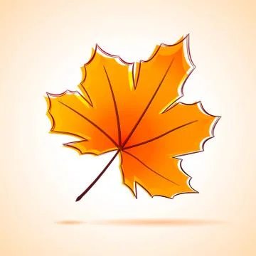 Maple leaf 스톡 일러스트