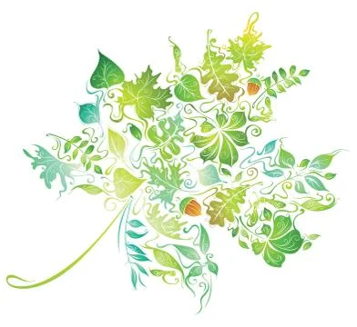 Maple leaf. Stock Illustration