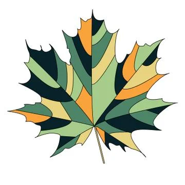 Maple leaf Stock Illustration
