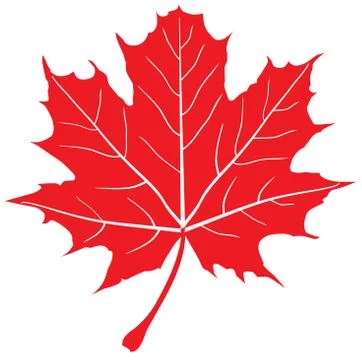 Maple leaf Illustrazione stock
