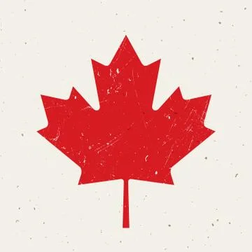 Maple leaf Stock Illustration
