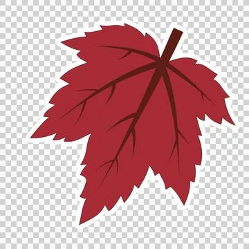 Maple leaf イラスト素材