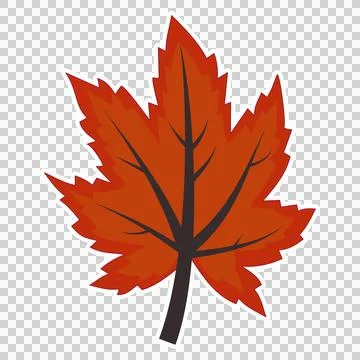 Maple leaf イラスト素材