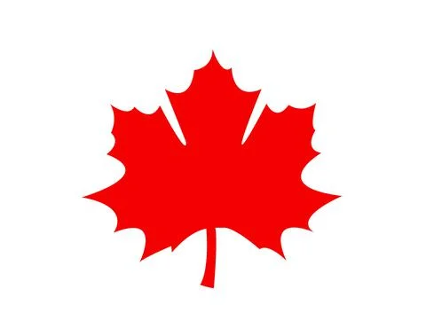Maple leaf illustration vector Stock Illustration