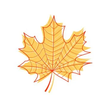 Maple leaf isolated. outline of a maple leaf on a white background Stock Illustration