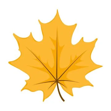 Maple leaf isolated on white Stock Illustration