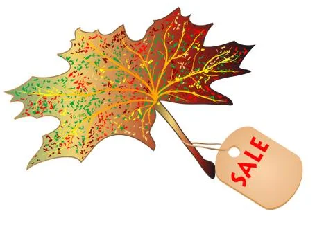 Maple leaf with the label sale Stock Illustration