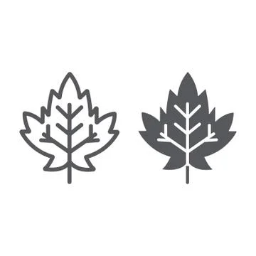 Maple leaf line and glyph icon, foliage and nature, autumn leaf sign, vector イラスト素材