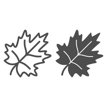 Maple leaf line and solid icon, trees and leaves concept, leaves of maple tree Stock Illustration