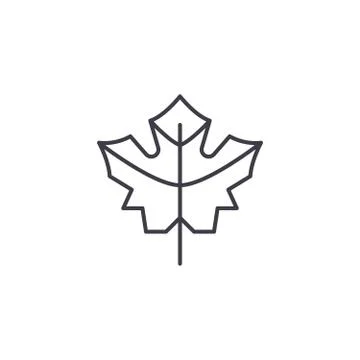 Maple leaf line icon concept. Maple leaf flat vector sign, symbol, illustration. イラスト素材