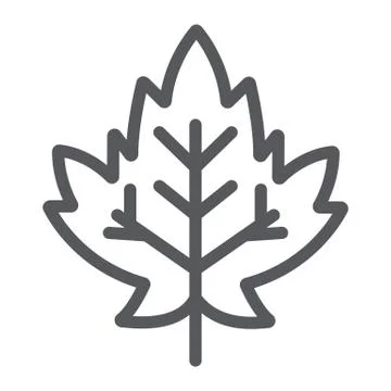 Maple leaf line icon, foliage and nature, autumn leaf sign, vector graphics, a イラスト素材