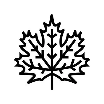 Maple leaf line icon vector illustration Stock Illustration