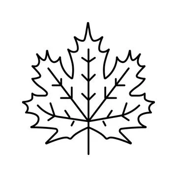 Maple leaf line icon vector illustration Stock Illustration