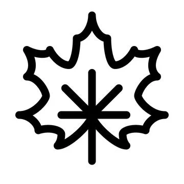 Maple leaf line icon. Vector graphics Stock Illustration