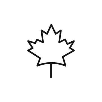 Maple leaf logo sign vector outline Stock Illustration