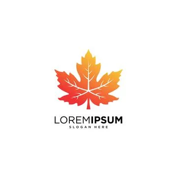 Maple leaf logo vector design 스톡 일러스트
