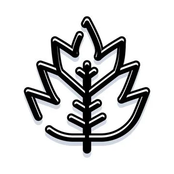 Maple leaf minimal line art icon design Stock Illustration