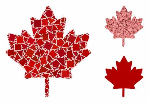 Maple leaf Mosaic Icon of Joggly Elements 스톡 일러스트