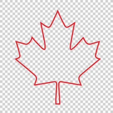 Maple Leaf Outline Black Shape line drawing white botany Stock Illustration