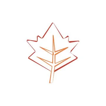 Maple leaf outline sketch. Vector Stock Illustration