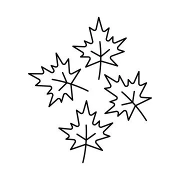 Maple leaf outlines arranged in a loose cluster Stock Illustration