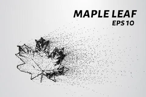 Maple leaf particles. Maple leaf consists of circles and points. Stock Illustration