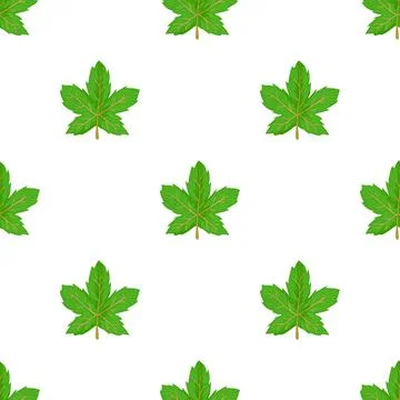 Maple leaf pattern seamless vector イラスト素材