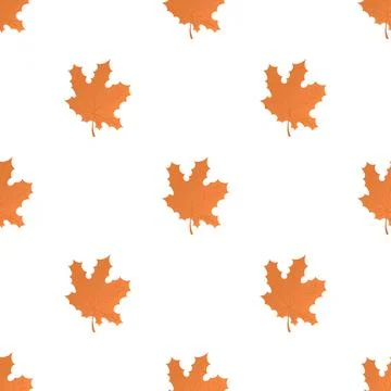 Maple leaf pattern seamless vector Illustrazione stock