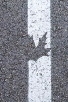 Maple leaf Stock Photos