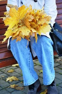 Maple leaf Stock Photos