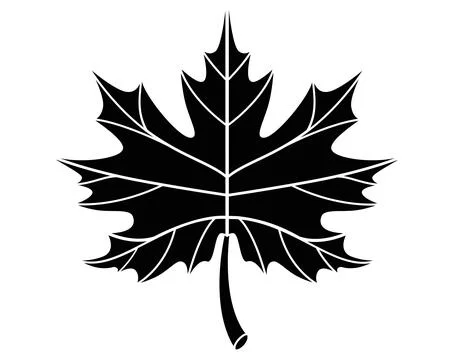 Maple leaf plant element - silhouette vector image for stencil, sign or logo. Stock Illustration