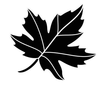 Maple leaf plant element - vector silhouette image for stencil, logo Stock Illustration