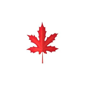 Maple leaf red, autumn and fall tree leaves icon Stock Illustration