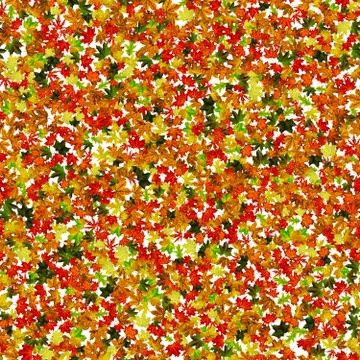 Maple leaf seamless pattern. Colorful maple foliage. Season leaves fall backg Stock Photos