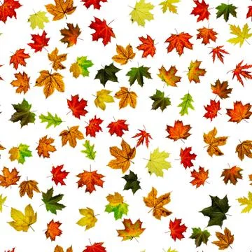 Maple leaf seamless pattern. Colorful maple foliage. Season leaves fall backg Stock Photos