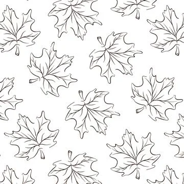 Maple leaf seamless pattern in line art, outline style. Floral background in Stock Illustration
