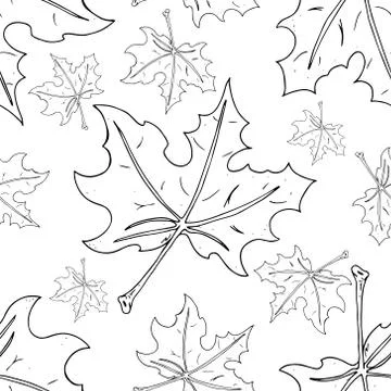 Maple leaf seamless pattern. Vector of a seamless maple leaf pattern. Hand dr Stockillustratie