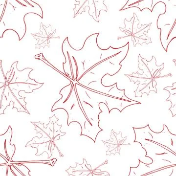 Maple leaf seamless pattern. Vector of a seamless maple leaf pattern. Hand dr Illustrazione stock