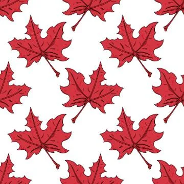 Maple leaf seamless pattern. Vector of a seamless maple leaf pattern. Hand dr Stock Illustration
