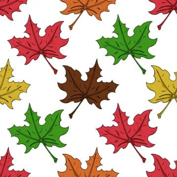 Maple leaf seamless pattern. Vector of a seamless maple leaf pattern. Hand dr Stockillustratie