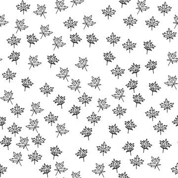 Maple leaf seamless pattern vector illustration on white background. Stock Illustration