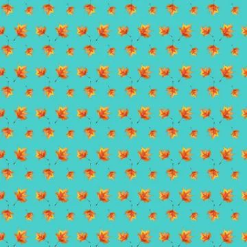 Maple-leaf .Seamless pattern watercolor foliage on blue background. Stock Illustration