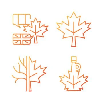 Maple leaf significance gradient linear vector icons set 스톡 일러스트