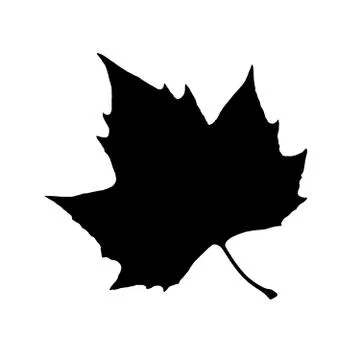 Maple Leaf Silhouette Stock-Illustration