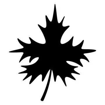 Maple Leaf. Silhouette. Part of the tree with veins. Stock Illustration