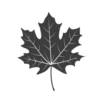 Maple leaf silhouette. Vector illustration. Isolated icon. Stock Illustration